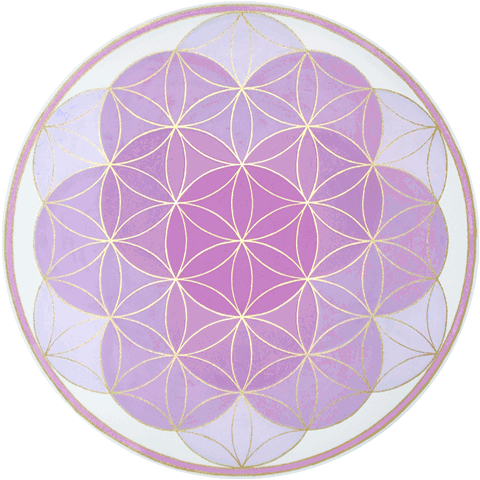 Blume des Lebens: violett, 80 cm, 2011 